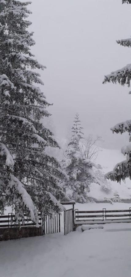 Appartamento Del Sole Bardonecchia Eksteriør billede